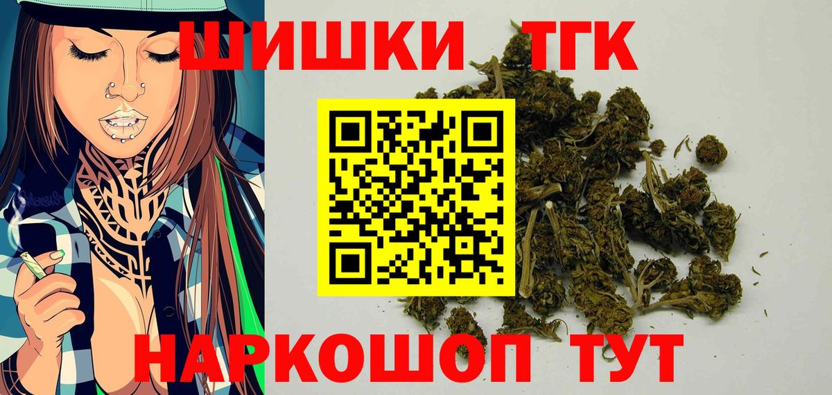 Каннабис сатива Кизляр